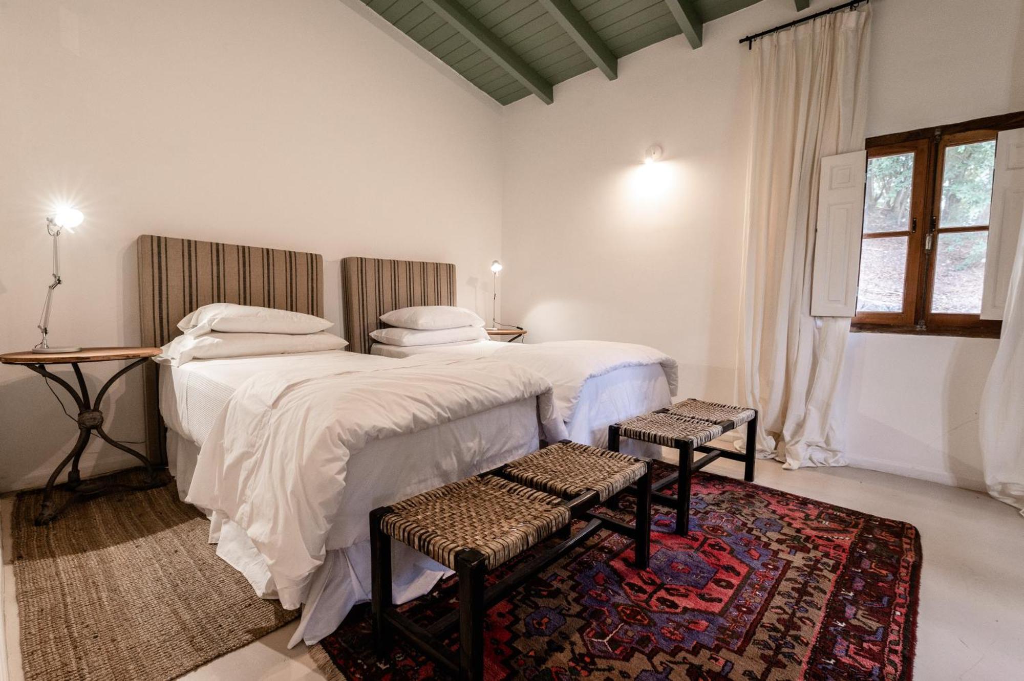 Scratch House Hotel Boutique Villa Allende Esterno foto